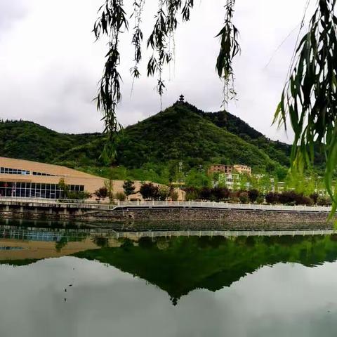 燕舞莺歌戏清波