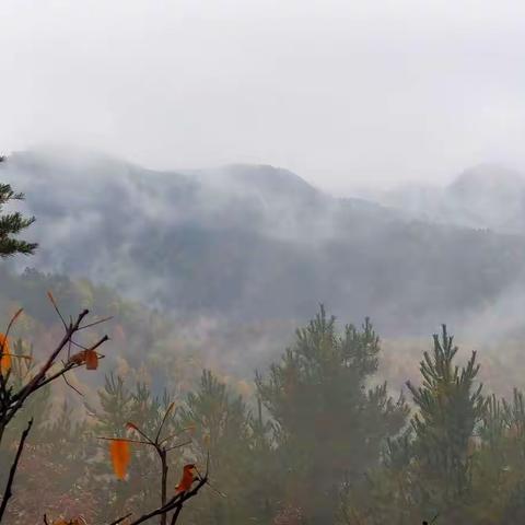 云雾缭绕砚池河