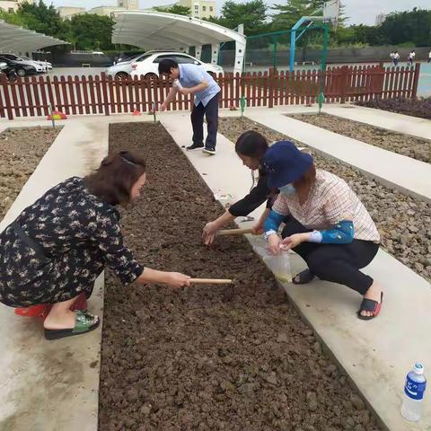 高沙小学一（3）中队“我种植我快乐”劳动基地社会实践