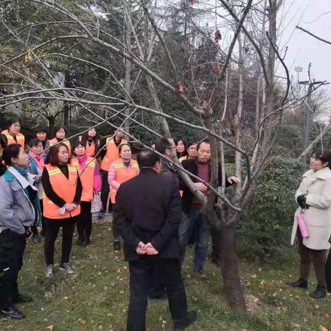 开阔眼界  致力提高—县住建局组织一线工人赴西安市学习园林绿化管护纪实