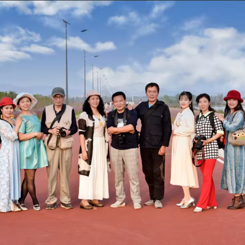 园博园 外围粉黛乱子草