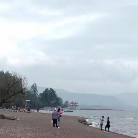 金秋十月澄江广龙湿地湾公园的另一番风景