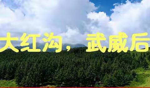 “美我天祝·喜迎大庆”--新时代文明实践大红沟在行动