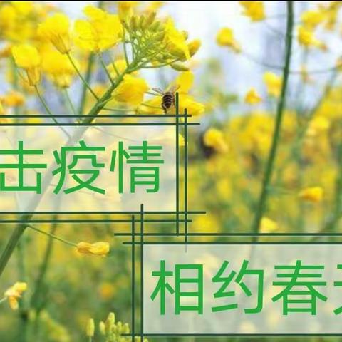 抗击疫情     相约春天