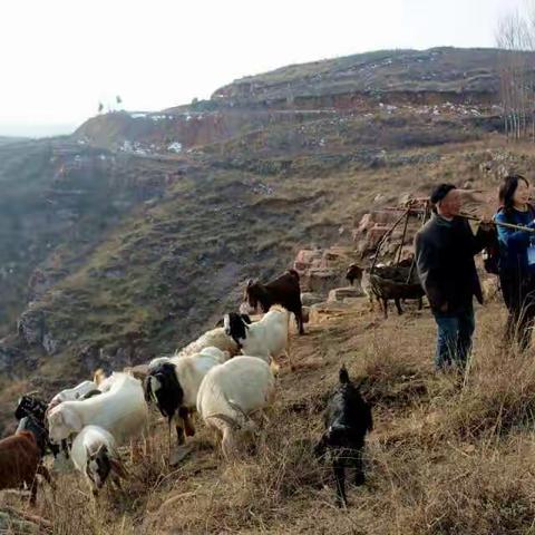 走进嵩山九龙潭，辞旧迎新。