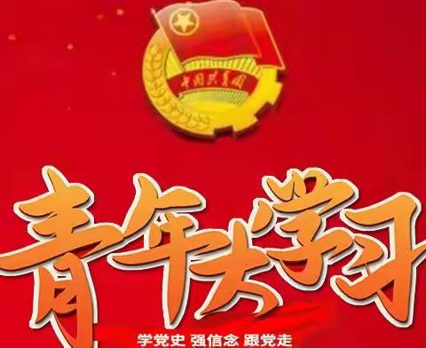 涟邵青年大学习：学习习近平总书记在庆祝中国共产主义青年团成立100周年大会上的重要讲话精神主题云团课特辑