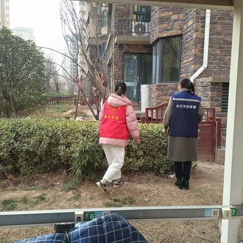 排查辖区违规种植罂粟，打赢全民禁毒战