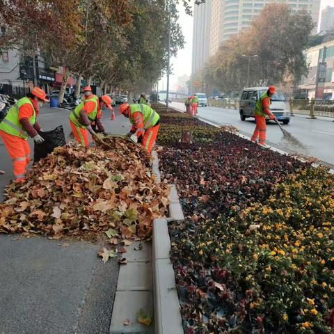 【莲湖～西关】持续开展绿化带落叶🍂大清理，守护绿色风景线