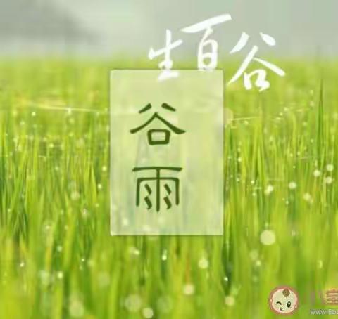 🌾又逢谷雨时，五谷正当季🌾——西关学校幼儿园“谷雨”节气主题活动