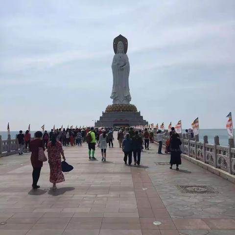 洪枡经贸有限公司主打-酸豆王