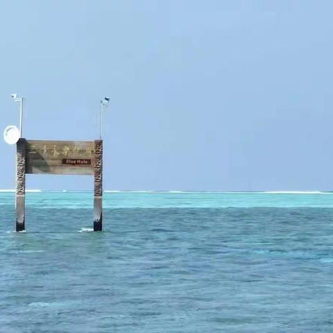 呼伦贝尔人民们！对不起！