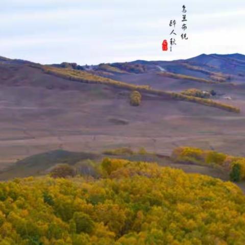 圆梦草原行