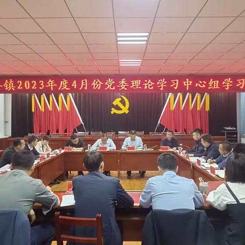 水洛镇召开党委理论学习中心组学习会议和党委会议