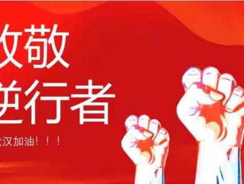 致敬，感动中国的逆行者