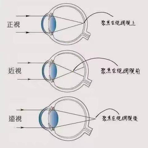 自己是爱眼护眼的第一责任人，保护视力从每时每刻做起