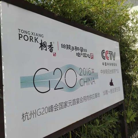2020年12月17日去浙江同乡马鸣村参观