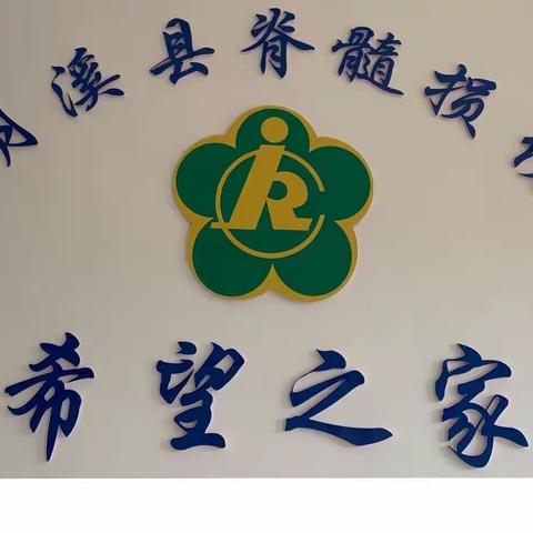 "轮椅上的希望 重建阳光生活”