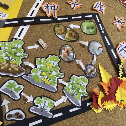 “甜美”小二班11月环境介绍