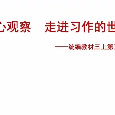 集体备课共提升 切磋研讨促成长一一语文组三年级第五单元集体备课活动