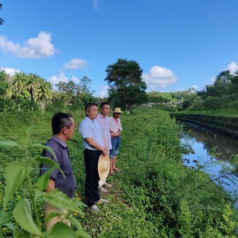 强化责任，加强巡河——县委常委符气和到永丰水巡河检查