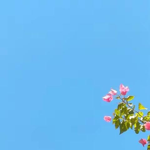 12月26日（周一）三年级学习内容及要求