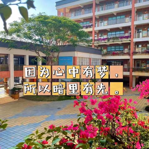 12月19日（周一）三年级学习内容及要求