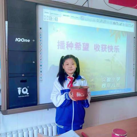 播种希望，种植快乐！双城区实验小学四年八班远程种植实践活动