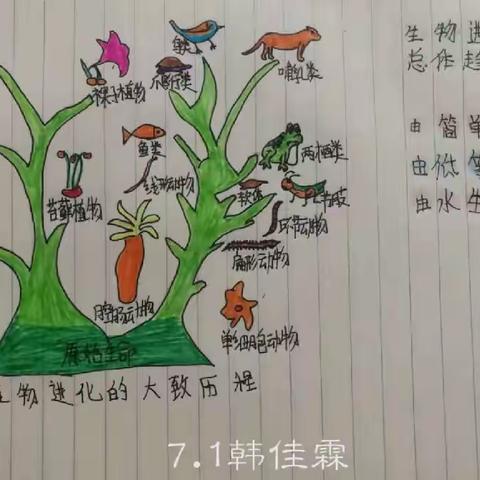 阳春三月把学忙