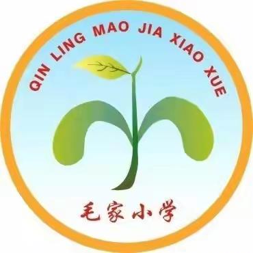 【新优质成长学校计划】家访，一场温暖的相遇——秦陵中心毛家小学家访活动记实