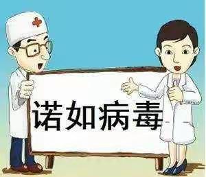 诺如病毒不可怕 · 南小教你来预防