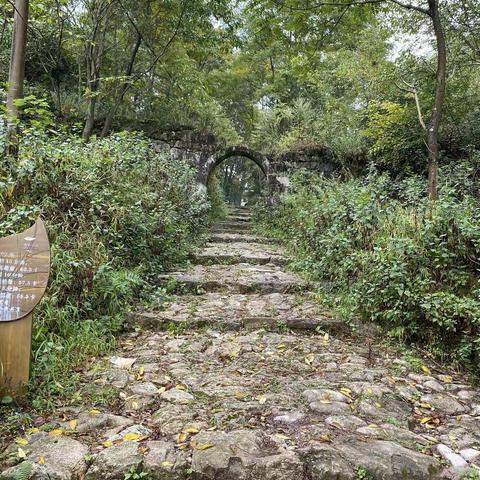 考察关索岭探花坟