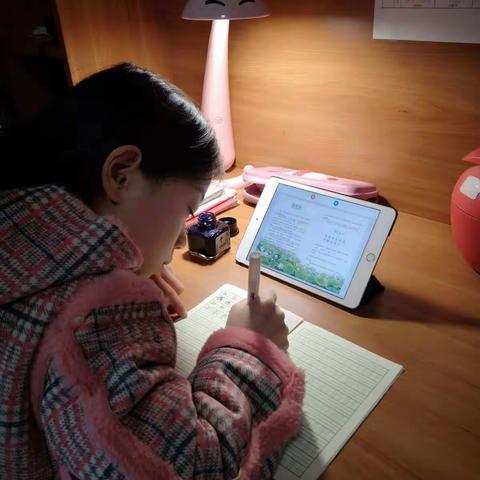 宅家抗疫共度寒冬，自主乐学静待花开