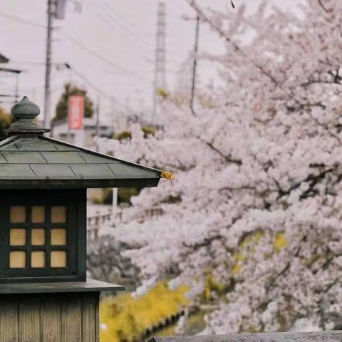 在学习中积累   在交流中进步