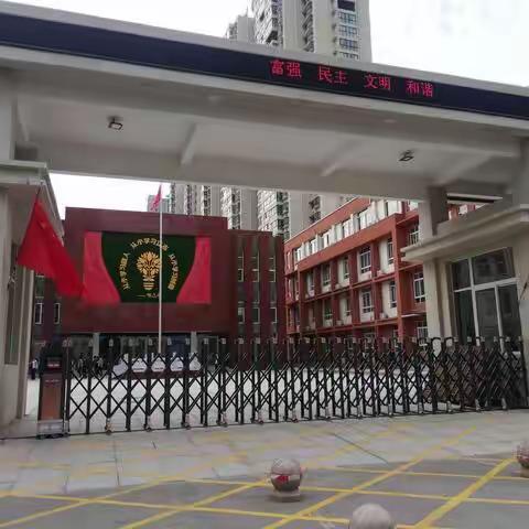 教育在路上，学习不停止———     洛龙区广利街小学低段数学教师线上培训篇