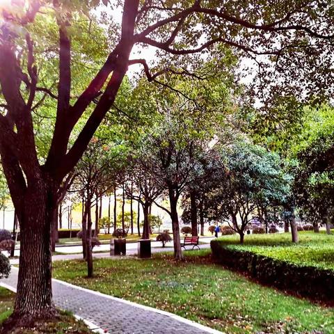 桐经公园（缤纷秋色）