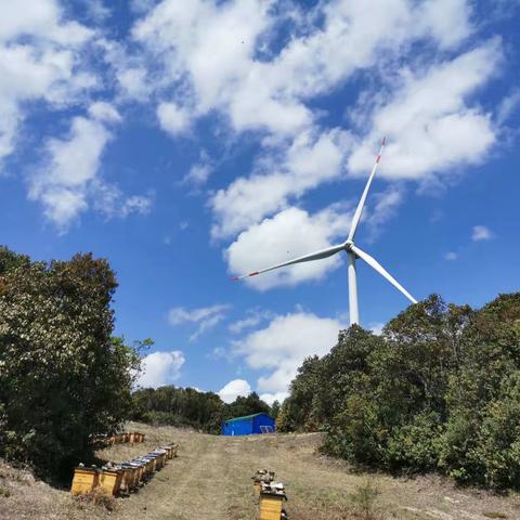 走一段未知的路   看一处未知的风景