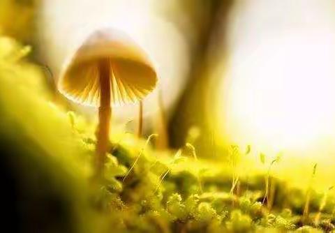 假期的文本解读