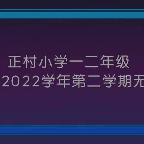 绿树浓阴夏日长，正小学子闯关忙——记正村小学无纸笔测评活动