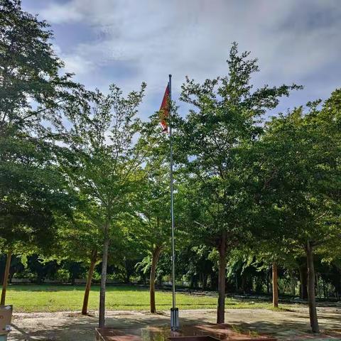 五星红旗耀会场，希望之花齐绽放