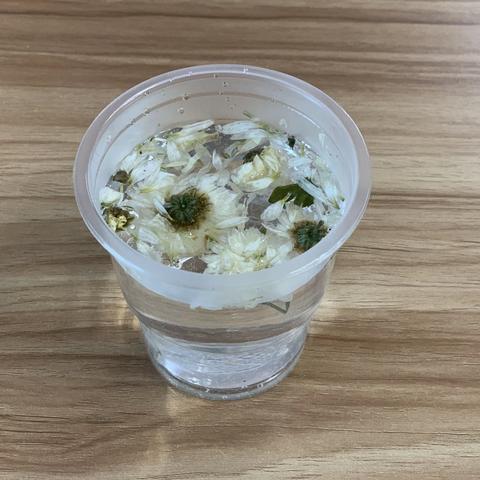 递上一杯暖暖菊花茶，传递一份浓浓感恩情