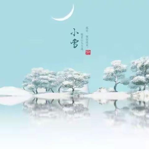 寂寥小雪闲中过，斑驳新霜鬓上加——小一班小雪节气主题教育活动