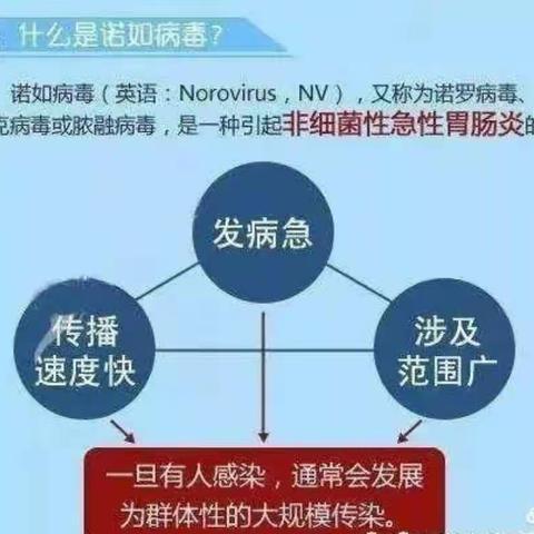 “预防诺如，家园携手”——诺如病毒的预防及护理