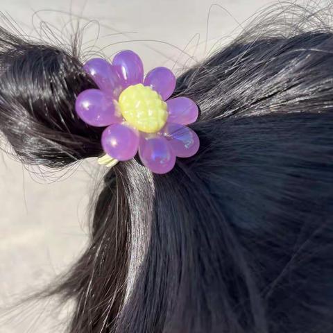 居家充实的一天——乐趣满满