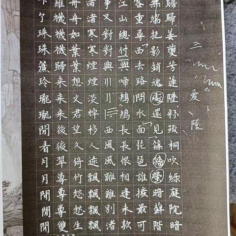 辛苦了，我的孩子们！带着收获和成长继续出发，你们会越来越棒！