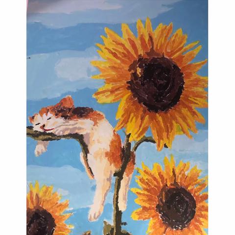 一如向日葵，教师与学生共同成长（“国培”教师在育英）