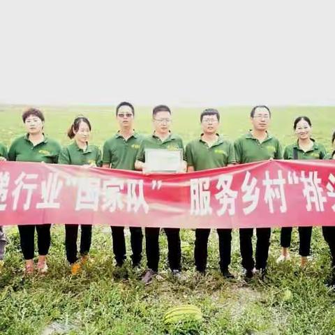 邮政助力中卫香山硒砂瓜（富硒）线上线下推介，给硒砂瓜插上爱的翅膀，飞向祖国的四面八方。
