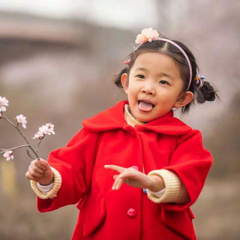 我为杏花吹一曲