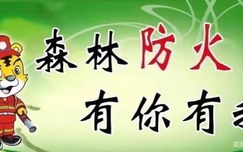 “森林防火，从我做起”——小叮当幼儿园中一班森林防火班级主题活动