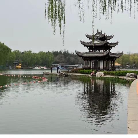 随手拍·湖光碧水，亭台荟萃，姹紫嫣红醉陶然