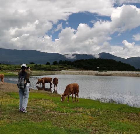 8🈷️到了丽江，怎能不去虎跳峡/纳西秘境玉湖村